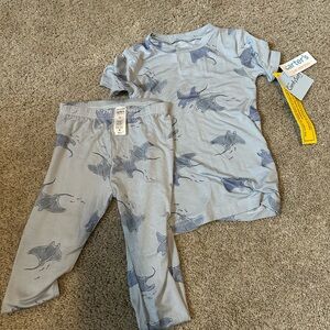 Carter's Blue Stingray Pajama Set